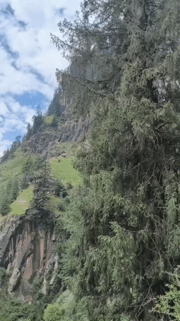 Waterfall trails and mountain views in Bahang, Himachal Pradesh