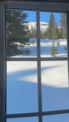The video shows a view from inside a building, looking out through a multi-paned window. The scene outside the window depicts a snow-covered landscape with trees and a distant, snowy hill under a clear blue sky. There are shadows cast on the snow. The window has old-fashioned latches. The camera moves slightly during the recording.