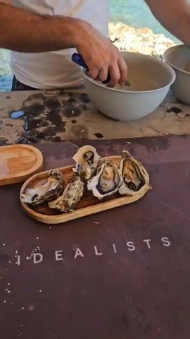 This media file captures a close-up view of a food preparation scene, likely outdoors. The primary subjects are a platter of freshly shucked oysters arranged on a wooden serving dish. The oysters are plump and glistening, some still in their shells, others with the meat exposed. Scattered around the platter are coarse salt crystals.

In the background, a person wearing a white t-shirt is visible, actively engaged in opening more oysters with a shucking tool. Their hands and the tool are partially obscured by their body, but the action of preparation is clear. Two large, light-colored bowls are placed on a surface behind the platter, one appearing to contain water or a brine solution.

The setting appears to be near a body of water, suggested by the blurry blue and green hues in the upper background, which could be the sea or a lake. The ground surface in the foreground is a dark, textured mat. Prominently displayed on this mat is white lettering that spells out "IDEALISTS". A bottle cap and a rock are also visible on the mat.

The lighting suggests it is daytime, possibly late morning or early afternoon, with natural light illuminating the scene. The overall impression is one of fresh food preparation in a casual, possibly seaside or waterside, environment. The activity is focused on the preparation and presentation of oysters, implying a meal or a tasting is about to commence. There are no clear indicators of weather conditions beyond the presence of natural light. The mood seems functional and focused on the task at hand.