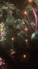 Evening light festival and dance party documented in Thailand