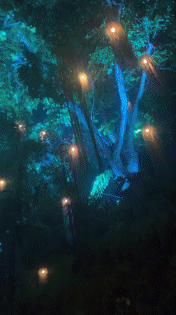 Evening light festival and dance party documented in Thailand