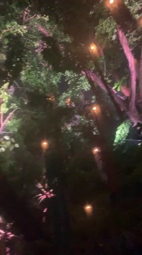Evening light festival and dance party documented in Thailand