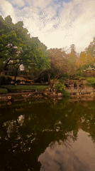 Morning visit to traditional Chinese garden in Yuzhong District