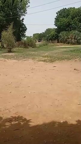 The video pans across a sandy, grassy area with various buildings visible in the background. The buildings appear to be simple structures, some possibly made of concrete or mud brick. Trees are scattered throughout the scene, and power lines are visible overhead. The sky is overcast. There are some signs of human activity, like scattered trash and some buildings. The video ends focused on a small dirt path.