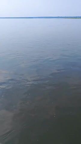 The video shows a wide, calm river under a clear sky. The water is dark and reflects the sky. There are some ripples on the surface of the water. In the distance, the opposite bank of the river is visible as a thin line of green. The scene appears to be a natural landscape, likely in a rural or undeveloped area. There are no people or man-made objects visible in the frame.
