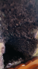 Amethyst geode display documented in Pattaya City, Thailand