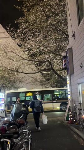 The video shows a nighttime street scene in Japan. Cherry blossom trees are in full bloom, their white flowers illuminated by streetlights. Pedestrians cross the street, including a businessman with an umbrella and a young man with a backpack using a phone. A bus drives by. Several motorcycles are parked on the sidewalk, and a traditional barber shop sign is visible on the corner of a building. The buildings appear to be modern.