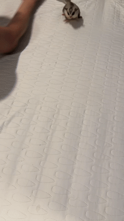 Bangkok resident documents everyday home life over three hours