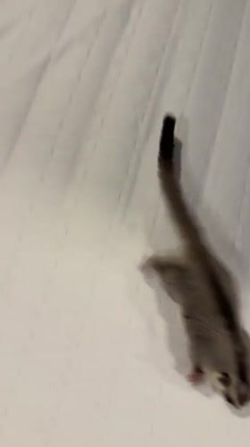 Bangkok resident documents everyday home life over three hours