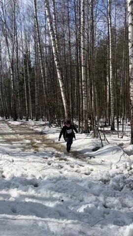 A young man wearing a black jacket, black leggings, and a race bib is running through a snow-covered forest. He is carefully stepping through a shallow stream of water melting through the snow. There are many bare birch trees in the background. Another person in a dark jacket and hat is walking towards the stream in the background. The weather appears to be sunny.