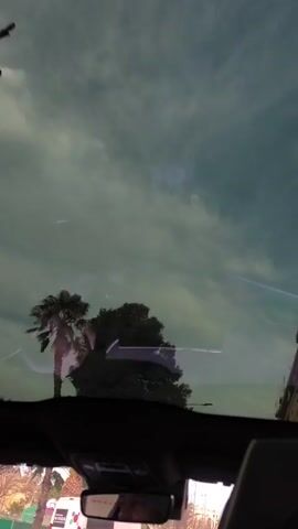 The view from inside a car on a street.  A palm tree is visible beyond the windshield and sunroof. The sky is light blue with some clouds. A white service van is in front of the car. A driver is visible in the reflection in the rearview mirror.  The interior of the car is black and grey.  The sky is visible through the sunroof.  The car is moving slowly on the street.