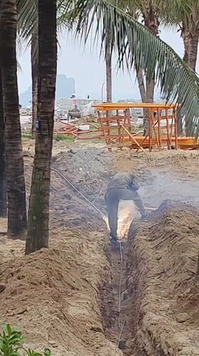 Daily life unfolds in Vietnamese coastal ward