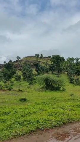 The video captures a landscape view of a green hilly area with scattered trees under a cloudy sky. The camera pans from left to right, revealing a signpost with text written in what appears to be an Indian language, possibly Marathi. The signpost is white and mounted on a metal pole. The terrain is uneven, with grassy slopes and rocky outcrops visible on the hill. The overall atmosphere suggests a natural, undeveloped environment.