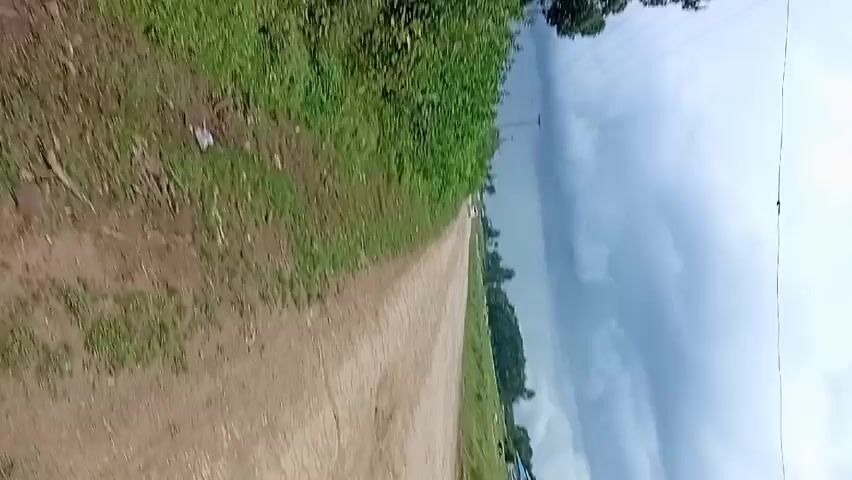 A person on a small motorcycle drives down a dirt road past a green field and a building. There is a fence and a line of trees. It is overcast. There are utility poles and wires present. The motorcycle speeds up and the recording ends.