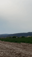 Spring agricultural landscape documented in rural Bulgaria