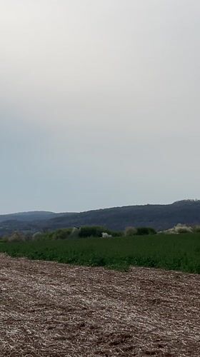 Spring agricultural landscape documented in rural Bulgaria