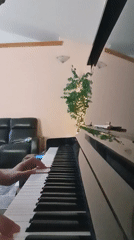 Piano played by hand and chopstick in Woodburn