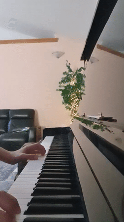 Piano played by hand and chopstick in Woodburn