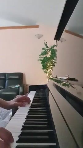 A person's hands play a white piano, with their left hand positioned over the lower half of the keyboard and their right hand over the middle section. The piano is in a room with a pink wall, a green leather couch, and a large plant adorned with lights. The camera angle is from the right side of the piano, looking towards the player.