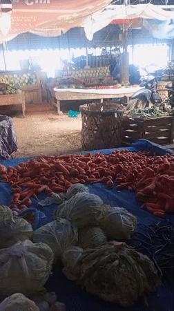 Night market activity documented in Indonesian coastal city