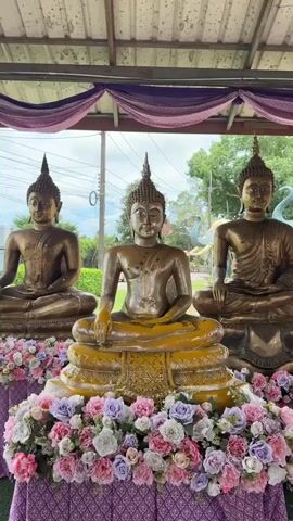 A video pans across three golden Buddha statues seated in meditation. The statues are adorned with floral arrangements of pink, purple, and white roses at their bases. The statues are placed under a covered outdoor structure with a corrugated metal roof and draped purple fabric. In the background, a large, light blue elephant statue with gold accents is visible, as well as parts of a white and gold temple structure. The environment appears to be outdoors with greenery and a cloudy sky. The video is a slow pan from left to right, focusing on the Buddha statues and the surrounding decorative elements.