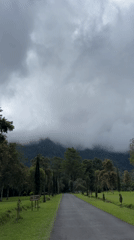 Tourists document cloudy morning at Indonesia's iconic Handara Gate