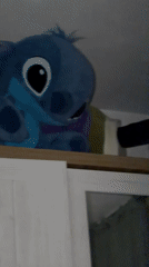 Bedroom scene with plush toys documented in Plovdiv