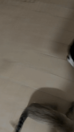 Ordinary moments captured across Ciudad Guayana in five-minute span