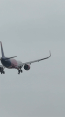 Aircraft observed on landing approach over Sofia residential areas