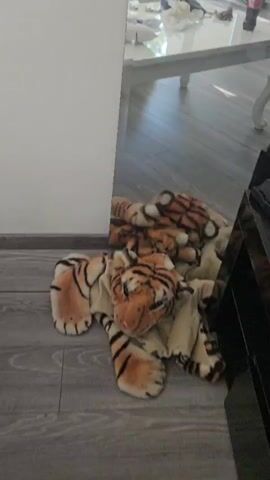 The video begins with a close-up of a tiger-print rug on a wooden floor, with a white wall to the left. The camera then pans up to show a man standing in front of a full-length mirror, taking a selfie. He is shirtless, wearing black athletic shorts with a red Puma waistband, black Croc-style shoes, and black socks. He has tattoos on his chest and arms, and is wearing a beaded necklace. The room appears to be a living area, with a white table in the background, a large window with a view of greenery outside, and a Coca-Cola bottle on the table. The man adjusts his shorts and then moves his hand down his shorts. The video continues to show the man from different angles as he adjusts his position and hand.