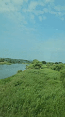 Calm river and green banks on a summer day in Pyeongtaek