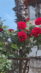Spring day scenes captured across Kemer, Turkey tourist district