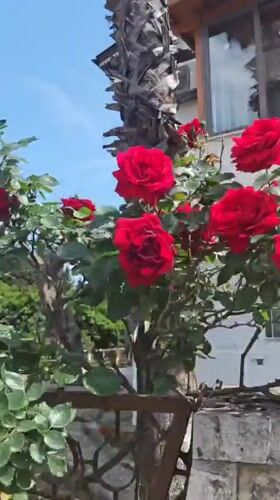 Spring day scenes captured across Kemer, Turkey tourist district