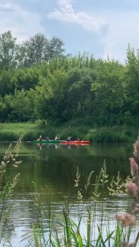 A wide shot captures a calm river on a bright, sunny day. The water is green and reflects the sky and surrounding trees. In the middle of the river, two kayaks, one green and one red, are being paddled by a group of people. The kayaks are close together, suggesting they are traveling as a group. The riverbanks are lined with lush green trees and vegetation, creating a serene natural landscape. Tall grass in the foreground sways gently, adding a sense of movement to the otherwise still scene. The sky is blue with scattered white clouds.