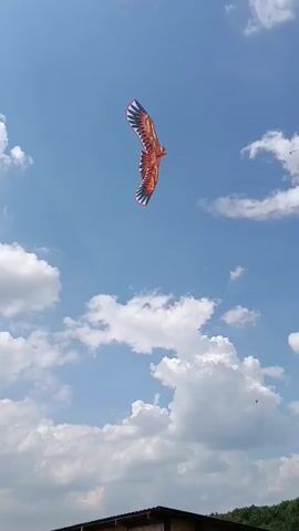 The video shows a kite shaped like an eagle flying in a bright blue sky with fluffy white clouds. Below the kite is a small, rustic building with a corrugated metal roof and wooden walls. In the foreground, there are several colorful beehives in a grassy area. The scene appears to be a rural or semi-rural outdoor setting.