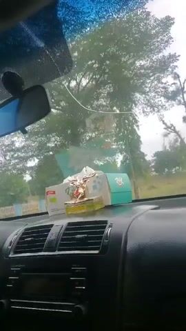 The video, shot from inside a car, shows the passing scenery. The dashboard of the car is visible in the foreground, including the air vents, radio, and a box of tissues with an ornament on top. Outside the car window, there are trees and a fence with barbed wire. In the distance, there is a structure visible over the fence. The weather appears overcast.