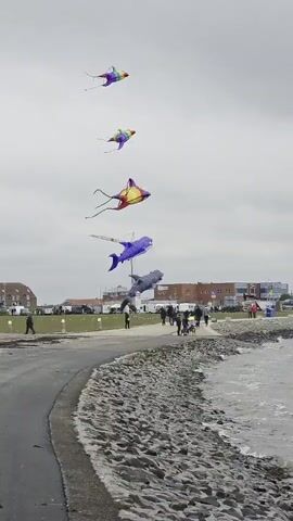 The video shows a kite festival taking place on a beach or near the coastline. Several colorful kites shaped like marine animals such as stingrays, a whale, and a shark are suspended in the air. Further off, other kites including one shaped like an octopus can be seen flying higher. The sky is overcast. On the ground there is a mix of sand, rocks, and pavement. People are walking along the beach and on a paved pathway. Buildings and vehicles can be seen in the background.