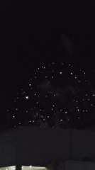 Fireworks Display Lights Up Montana, Bulgaria Evening Sky