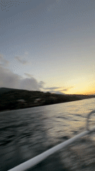 Woman films boat selfie off Indonesian coast at sunset