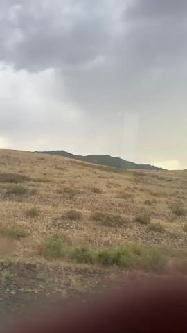 This media file captures a scenic view of a vast, undulating landscape under a dramatic, overcast sky. The terrain is predominantly covered in dry, golden-brown grasses with scattered patches of green scrub. In the distance, a range of rolling hills, some with a darker, greener hue, stretches across the horizon. The sky is filled with heavy, grey clouds, suggesting impending rain or a storm. The overall impression is one of a wild, natural environment, possibly a steppe or prairie.

The time of day appears to be late afternoon or early evening, given the soft, diffused light filtering through the clouds. There are no people or man-made objects clearly visible in the main frame of the image, emphasizing the natural, untamed beauty of the setting. A faint, bluish light streak is visible in the sky, which might be a reflection or lens flare. The bottom edge of the frame shows a reddish-brown blur, possibly indicating the presence of an object or a part of the viewing apparatus.

The location cues, combined with the visual elements, strongly suggest a rural or remote area. The dry, grassy plains and distant hills are characteristic of regions like Qarqaraly, Kazakhstan. The weather conditions contribute to a somewhat somber or majestic mood, evoking a sense of solitude and the power of nature. The scene is still and peaceful, with the focus entirely on the vastness of the land and the imposing sky. There is no visible text in the media file.