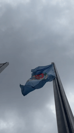 Flags wave on poles in overcast Sofia sky