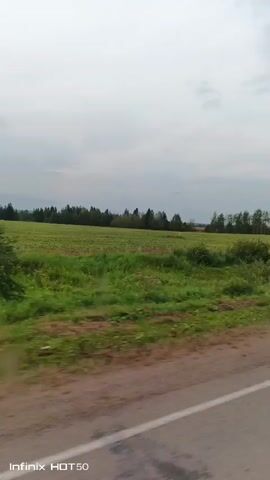 The video shows a view from a moving vehicle looking out at a rural landscape. The scene is dominated by a large, green field of crops, likely in a farming area. Beyond the field, a line of trees forms the horizon, with a cloudy sky above. The road the vehicle is traveling on is visible in the foreground, with asphalt and white markings. There are no people or distinct objects visible other than the natural environment and the road. The overall impression is one of a journey through the countryside on an overcast day.