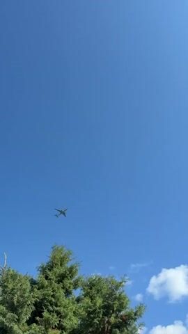 A passenger airplane is seen flying through a clear blue sky. The plane is a light color with dark markings on its tail. The underside of the plane is visible. A portion of a green tree is visible at the bottom of the frame. The video captures the airplane from a low angle as it ascends.