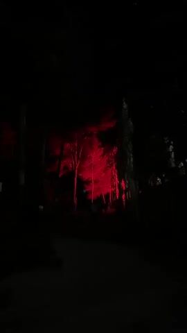 The video shows a path through a dark forest at night, illuminated by red lights. The trees are silhouetted against the red glow, and a few people can be seen walking along the path in the distance. The foreground is mostly dark, and the red light creates an eerie, dramatic effect.