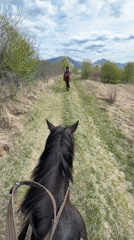 Morning horseback ride captured on rural trail near Теплоозёрск