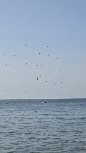 Fuengirola, Spain