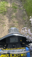 Motorcyclist decorates bike with purple lilacs during countryside ride