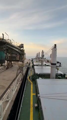 A large cargo ship is docked next to a pier with a loading conveyor belt system. The sky is overcast with hints of sunset. Several people are visible on the deck of the ship, some appearing to be working and others observing. One group of individuals, dressed in work clothes and hard hats, is engaged in cleaning or maintenance activity on the ship's deck, using hoses to spray water. Another individual is standing further down the deck, also with a hose. The ship is a bulk carrier with multiple hatches covering its cargo holds. The pier has industrial equipment and structures for transferring materials. The overall scene depicts a working port environment, possibly during or after loading/unloading operations.