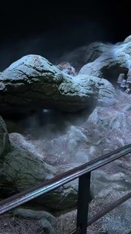The video shows a group of people walking through an indoor exhibit that simulates a natural, enchanted forest setting. The scene features large, gnarled tree roots and rocks, with mist or fog adding to the atmosphere. There are also artificial elements like a railing and what appears to be a display case with a book-like object. The lighting is dim, suggesting an evening or indoor environment. Some individuals are taking photos with their phones. The overall mood appears to be one of exploration and wonder. The location context of Watford, United Kingdom, suggests this could be a theme park attraction, possibly related to fantasy or folklore. No visible text is present in the footage.
