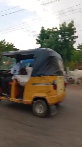 Cattle herd crosses road in Barnawa, Nigeria